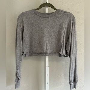 Aritzia Tna gray long sleeve crew neck crop top size xs